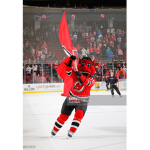 NJ Devils Fan Group