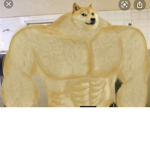 All hail the doge