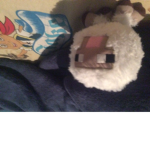 We love sheeps