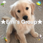 + *. ~ “. Emi’s Group .” ~ .* +