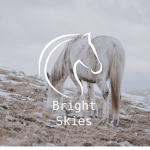 Bright Skies Riding Academy