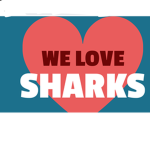 Ninja and shark group
