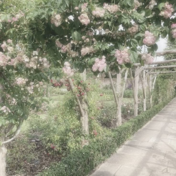˚ ༘ ⸝⸝ 🍃