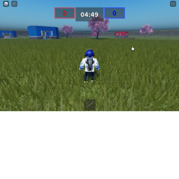 capture the flag