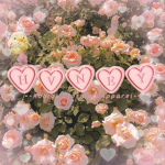 .+*hvney*+.