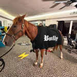 official bully love group