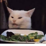 Saladcat