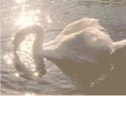 ⋆˚♡˖°