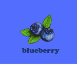 Sparkleberry