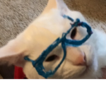 Aaaaaaaaaaaaah!