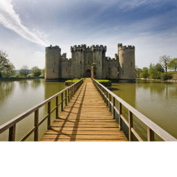 The Kingdom