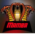 Mamba Roblox #FanGroup
