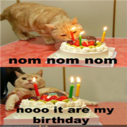 funny-pictures-cat-wants-his-birthday-cake Roblox decal