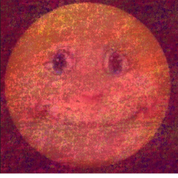 Câmp