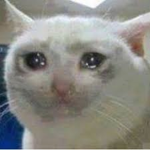 Imma donate to bubu