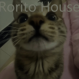 [The final update] Rorito house