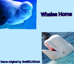 Whales united home