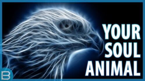 Spirit Animal Tycoon!