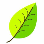 Plant Power