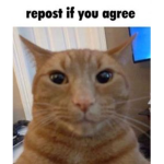 Dummytestinggrouplololol
