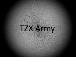 TZX Army