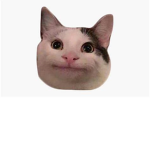 well doger