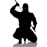 Dark Ninjas Pwn