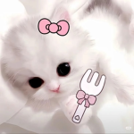 meow 4 me :3