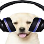 PuppyGamerr08 Fan Club!