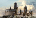 <~• Hogwarts School of Witchcraft and Wizardry •~>