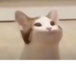 The dank mlg memers for spicy stuff