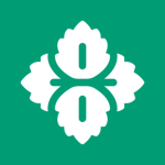 .Minty