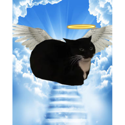 pet maxwell the cat simulator [fixes]