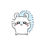 r9wrr_file