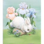 Small bunny’s