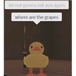 Sus_Armysupersus