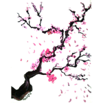 The Blossom Petals