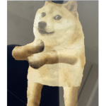 Support the doges