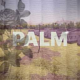 [🌴] Delta Palms (ALPHA)