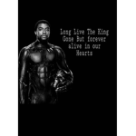Black Panther Fan grp