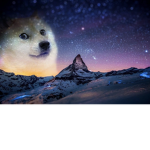Doge army(no cats allowed)