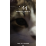 Ja 12345678910