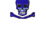 Anomaly Pirates