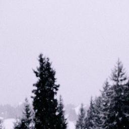 𐙚 🐻‍❄️ྀིྀི 𐙚