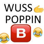 Woozi*Hansol