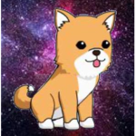 team shiba