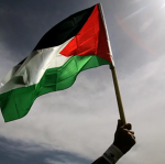 للمحترفين فقط