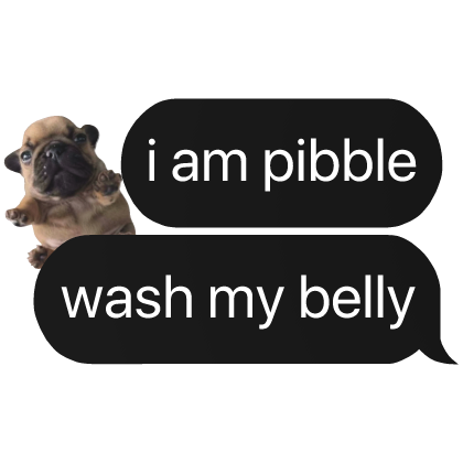 i am pibble wash belly text