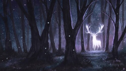 hate Forest