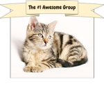 The #1 Awesome Group